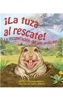 La Tuza Al Rescate: La Recuperacion de Un Volcan