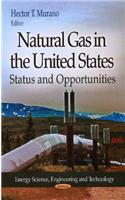 Natural Gas in the United States