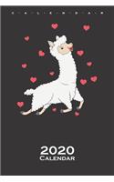 Llama in love with hearts Calendar 2020