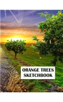 Orange Trees Sketchbook