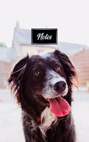 Border Collie Dog Pup Puppy Doggie Notebook Bullet Journal Diary Composition Book Notepad - Tongue Out