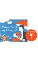 What Kind of Clouds?