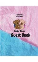Welcome little one! gender reveal guest book