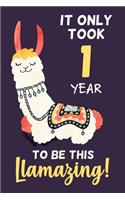 It Only Took 1 Year to Be This Llamazing!