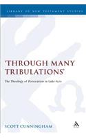Through Many Tribulations