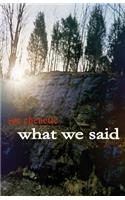 What We Said