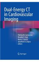 Dual-Energy CT in Cardiovascular Imaging