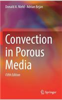 Convection in Porous Media