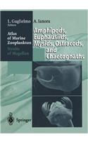 Atlas of Marine Zooplankton Straits of Magellan