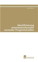 Identifizierung ectomesenchymaler cornealer Progenitorzellen