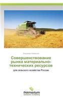 Sovershenstvovanie Rynka Material'no-Tekhnicheskikh Resursov