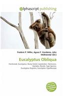 Eucalyptus Obliqua: (English)