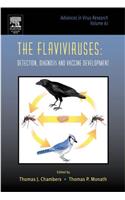 Flaviviruses: Detection, Diagnosis and Vaccine Development