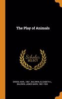 The Play of Animals