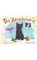 Adventures of PJ