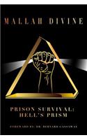 Prison Survival