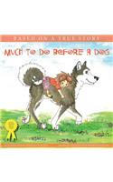 Much To Do Before A Dog