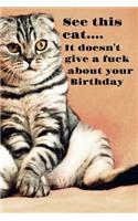 See This Cat. It Doesn't Give a Fuck about Your Birthday