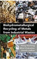 Biohydrometallurgical Recycling of Metals from Industrial Wastes