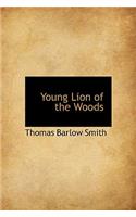 Young Lion of the Woods