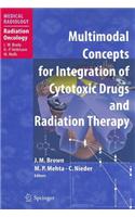 Multimodal Concepts for Integration of Cytotoxic Drugs