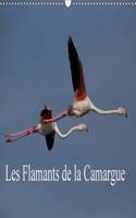 Les Flamants De La Camargue 2017: Scenes De La Vie D'une Espece Fascinante.(Calvendo Nature)