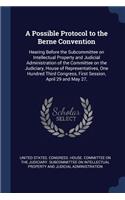Possible Protocol to the Berne Convention: Hearing Before the Subcommittee on Intellectual Property and Judicial Administration of the Committee on the Judiciary, House of Representatives, On