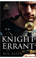 Knight Errant: (1 Knight Chronicles)