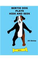 Bertie Dog Plays Hide and Seek