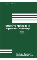 Effective Methods in Algebraic Geometry