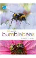 RSPB Spotlight Bumblebees
