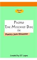 Padro the Mischief Dog