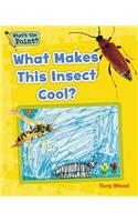 What Makes This Insect Cool?