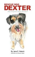 Rescue Dog Dexter