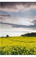 MindBlowing Yellow Rapeseed Potrait Journal