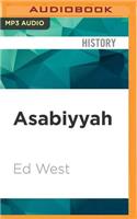 Asabiyyah