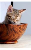 Cute Kitten Napping in a Wooden Salad Bowl Journal: 150 Page Lined Notebook/Diary