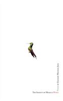 The Inanity of Music and Wings