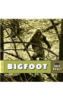 Bigfoot