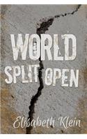 World Split Open