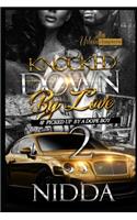 Knocked Down By Love And Picked Up By A Dope Boy 2
