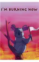 I`m Burning Now