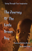 Journey of The Little Brown Boy