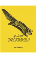 Sketchbook: ( flying squirrel Sketch Book) Large sketchbook for drawing 8.5 x 11 inch (21.59 x 27.94 cm) 150 pages Large drawing notebook: Flying squirrel Blank