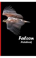 Falcon Notebook