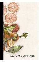 sketchy grapefruits