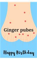 Ginger pubes happy birthday - Notebook: Funny Birthday gifts for joke lovers - Funny notebook gift - Lined notebook/journal/diary/logbook/jotter