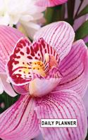 Low Vision Undated 90 Day Daily Planner Large Print: Calendar With 1/2" Wide Rule Bold Lines on White Paper for Visually Impaired Orchid Cover