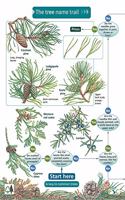 Tree Name Trail