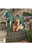 Chicago Unleashed